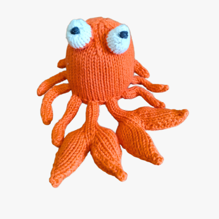 Colourful Creatures Crab