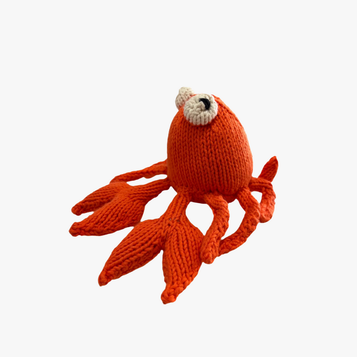 Colourful Creatures Crab