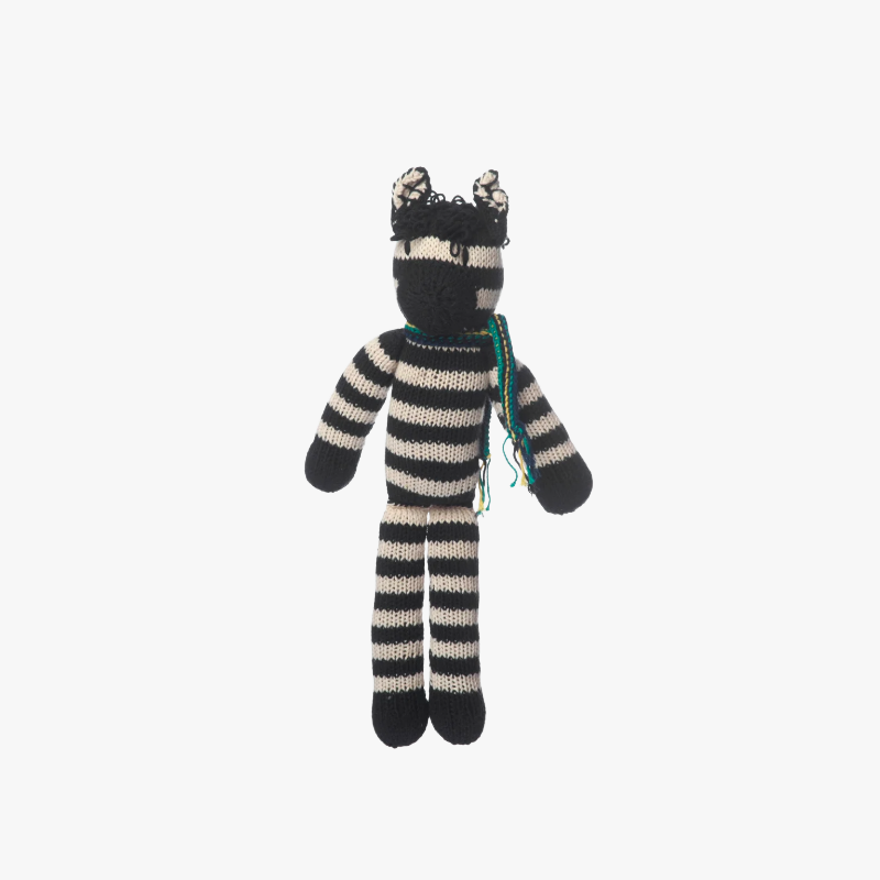 Spider Zebra