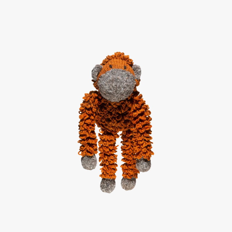 Safari Orangutan