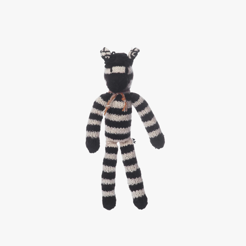 Spider Zebra