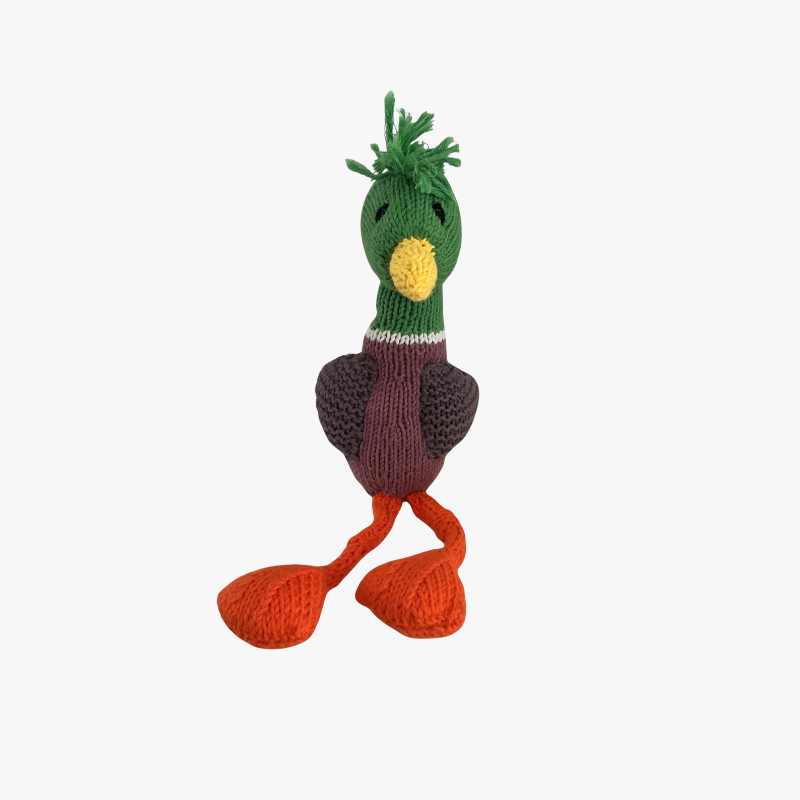 Colourful Creatures Duck